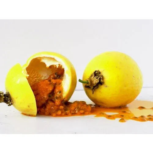 Gula frukter av passionsfrukt