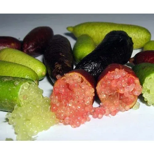 Fingerlimefrukt