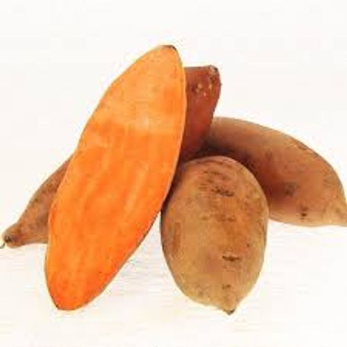 S&ouml;tpotatis early orange som ger goda orange s&ouml;tpotatiskn&ouml;lar