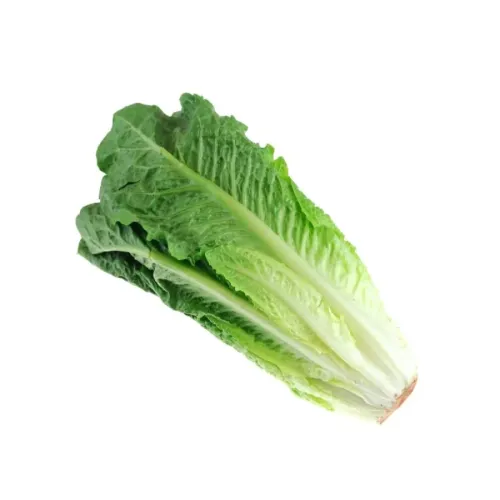 Romansallad huvud