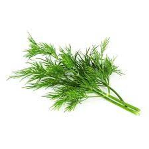 Dill i kvist