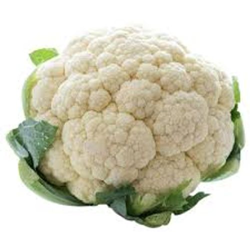 Blomkålhuvud