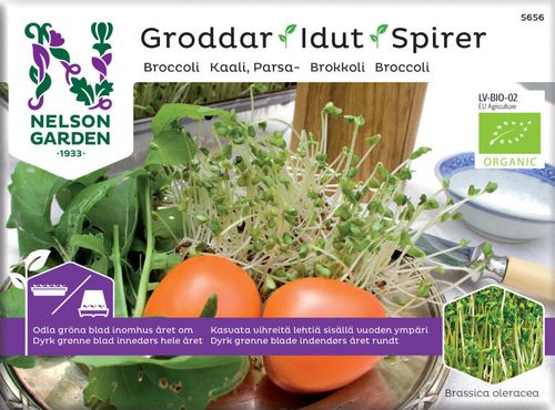 Påse med Broccoligroddfrö