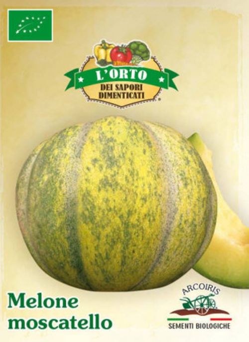 Nätmelonfrö av sorten MELONE MOSCATELLO
