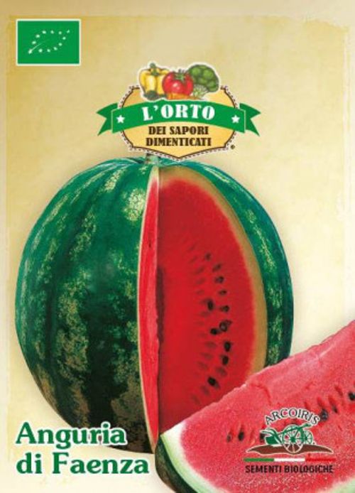 Vattenmelonfrö av sorten ANGURIA DI FAENZA