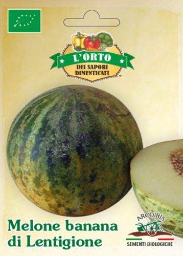 Melonfrö av sorten MELONE BANANA DI LENTIGIONE