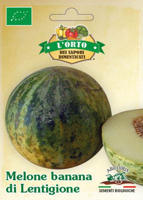 Melonfrö av sorten MELONE BANANA DI LENTIGIONE
