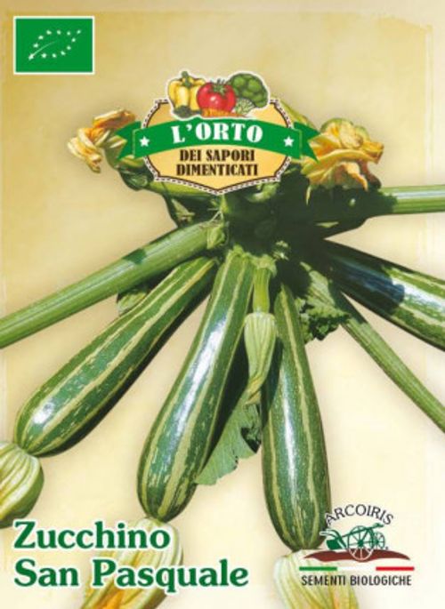 Squash frö av sorten ZUCCHINO SAN PASQUALE
