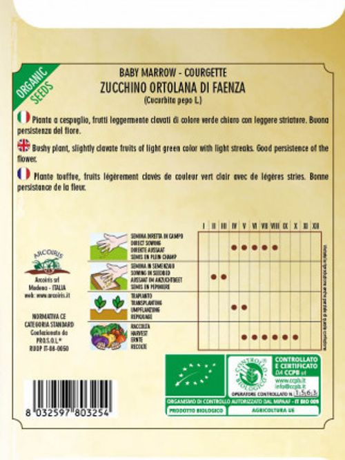 Italienska squashfröer och grönsaksfröer