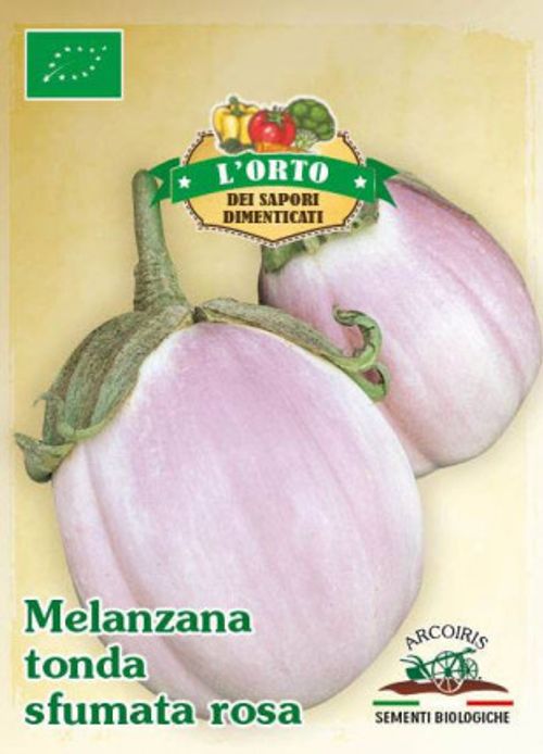 Auberginefrö av sorten MELANZANA TONDA SFUMATA ROSA