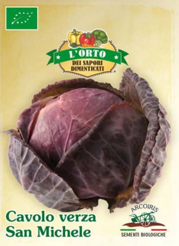 Broccolifrö av sorten CAVOLO VERZA SAN MICHELE