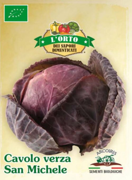 Broccolifrö av sorten CAVOLO VERZA SAN MICHELE