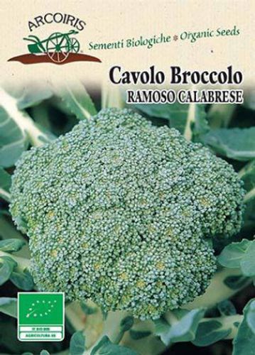 Broccolifrö av sorten CAVOLO BROCCOLO RAMOSO CALABRESE
