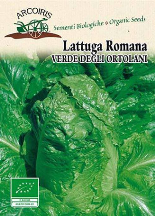 Romasallatfrö av sorten LATTUGA ROMANA VERDE DEGLI ORTOLANI