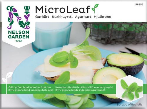 Fröpåse med gurkört