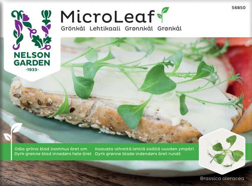 Fröpåse med mikrogrönt grönkålsfrö för odling inomhus.