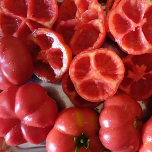 Halva röda paprikor av sorten Mini Bell Red 