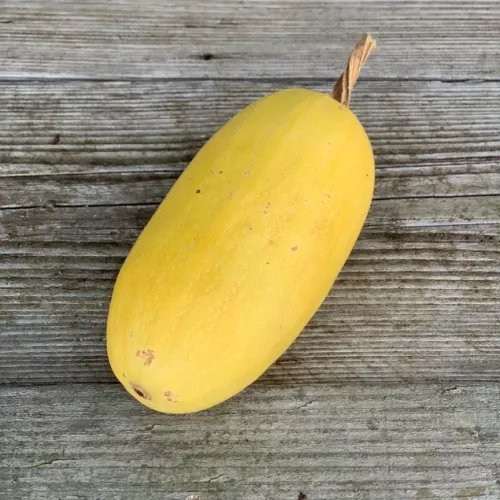 Gul squash av sorten Vegetable Spaghetti liggandes på bord
