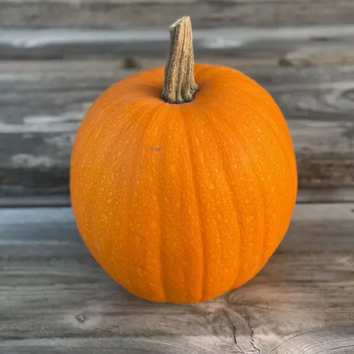 Orange pumpa