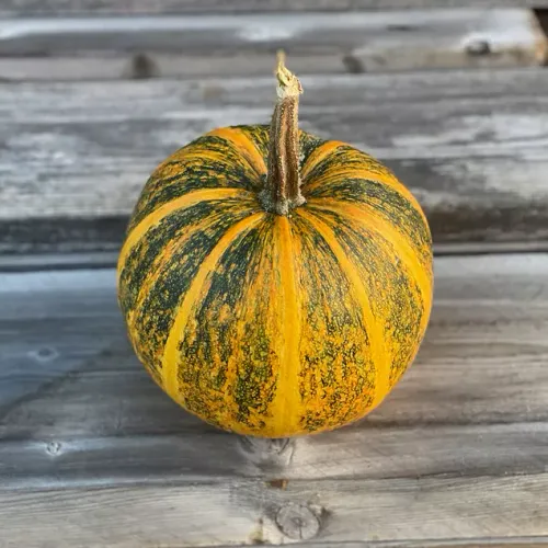 Pumpa på bord