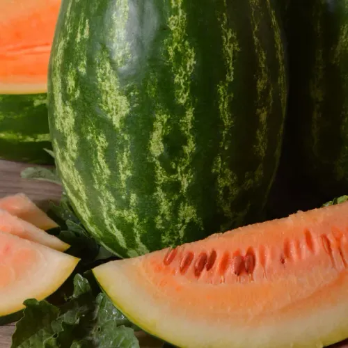 Melon av sorten Vattenmelon Orangelo