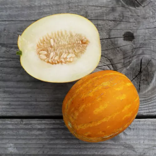 Gul melon i halvor av sorten Mango