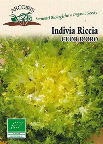 Endivesallatfrö av sorten INDIVIA RICCIA CUOR D'ORO