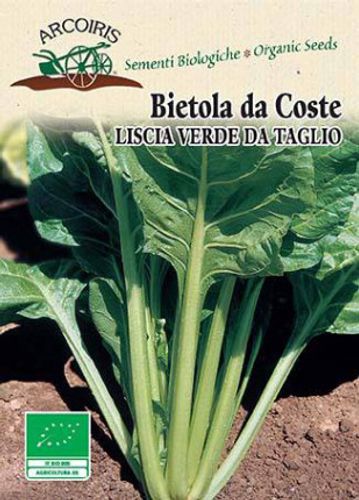 Mangoldfrö av sorten BIETOLA DA COSTE A COSTA ARGENTATA