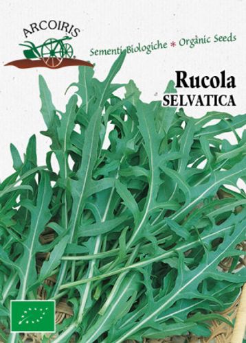 Rucolafrö av sorten RUCOLA SELVATICA