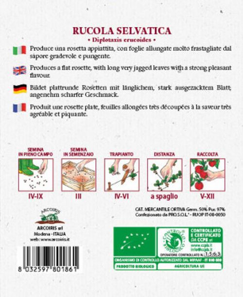 Italienska rucolafröer och grönsaksfröer