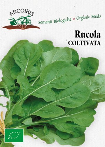 Rucolafrö av sorten RICOLA SATIVA