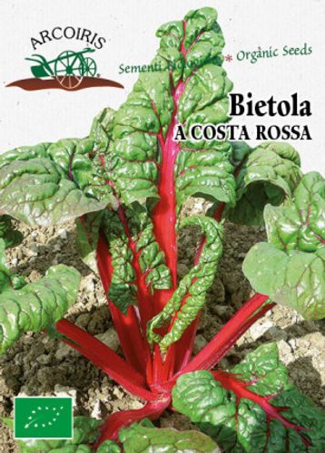 Mangoldfrö av sorten BIETOLA COSTA ROSSA RHUBARB CHARD