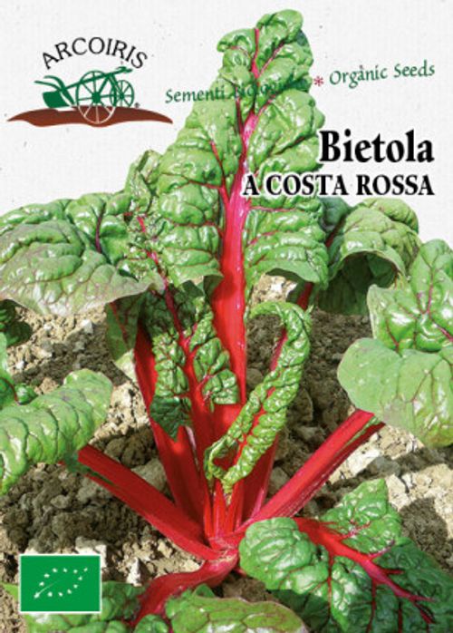 Mangoldfrö av sorten BIETOLA COSTA ROSSA RHUBARB CHARD