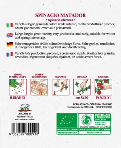 Italienska spenatfröer och grönsaksfröer