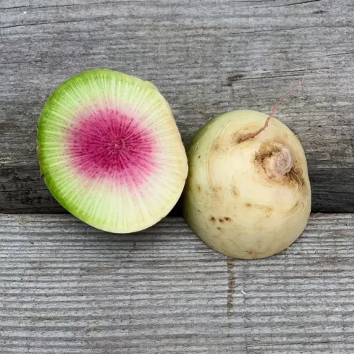 Halv rädisa liggandes på bord av sorten Red Meat