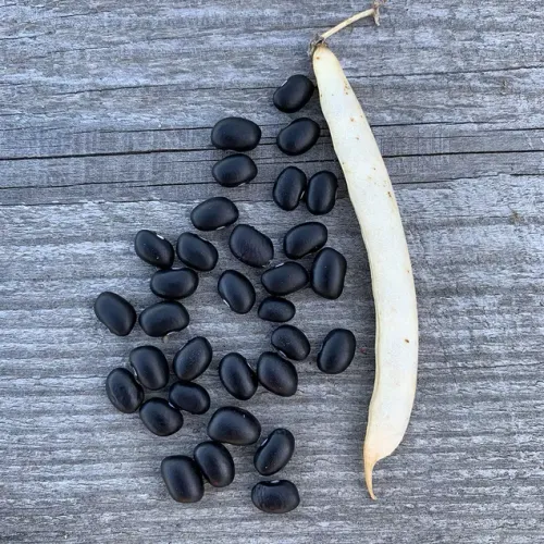 Svarta bönor på ett bord