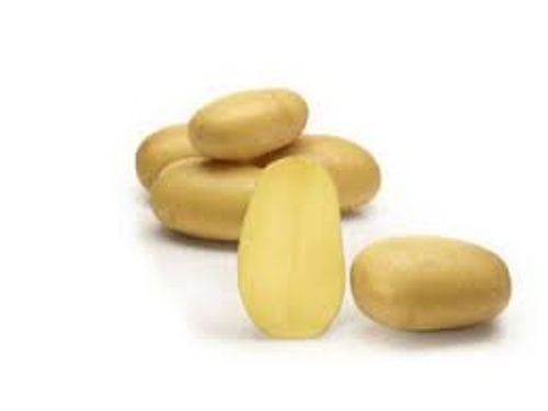 Ekologisk s&auml;ttpotatis av sorten Queen Anne