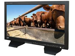 TVLogic 32'' HD High-End Multiformat Monitor