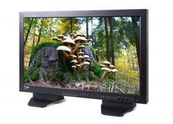 TVLogic 32'' HD High-End True-10 bit LCD Multiform