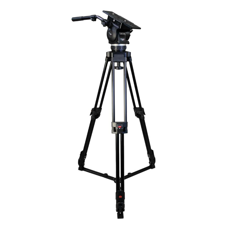  FOCUS 22  Cine