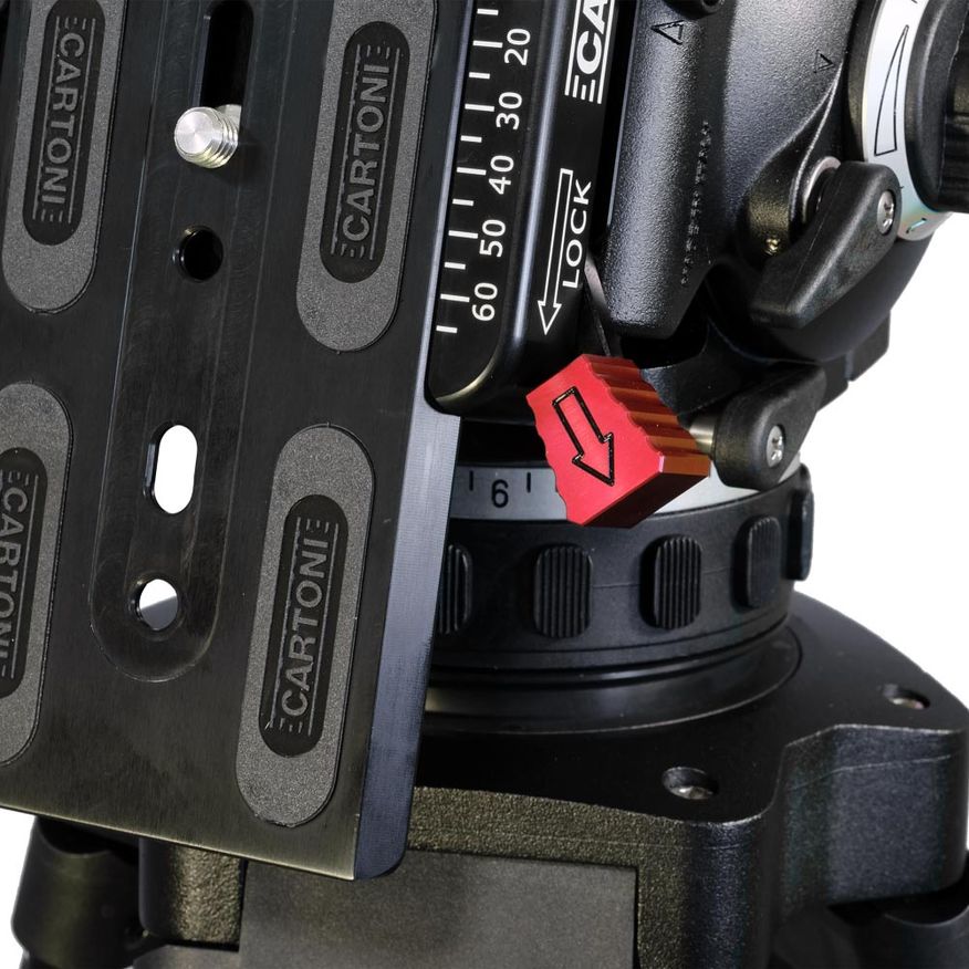  FOCUS 22  Cine