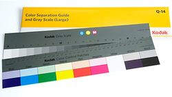  Clear Separator/Guide 14'