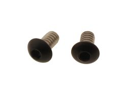  Aircleaner Screw Kit Supplied are 2 screws Satin Black Powder Coated 