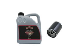 Servicekit Harley Sportster