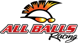 All Balls Racing