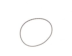  Twin Cam Derby Cover O-Ring 