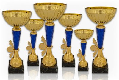 Pokal 411
