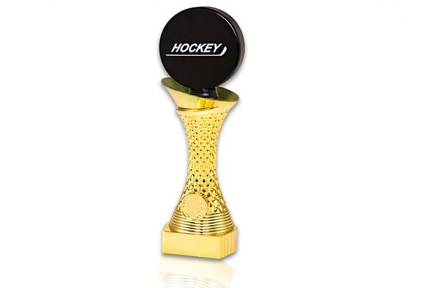 Ishockeypokal FG048