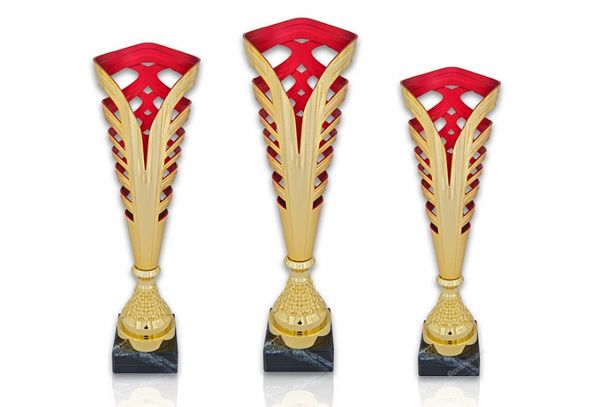 Pokal 81