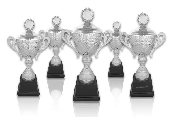 Pokal 306